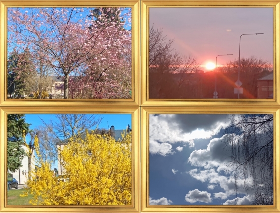 0005_juste-caregradskaite_1748341086-21366f091ff9652259299c39356f135c.jpg