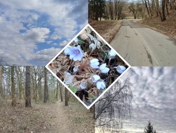 0007_viktoras-vabolis_1748341086-5d42e8326949095bab2bf02e20260636.jpg